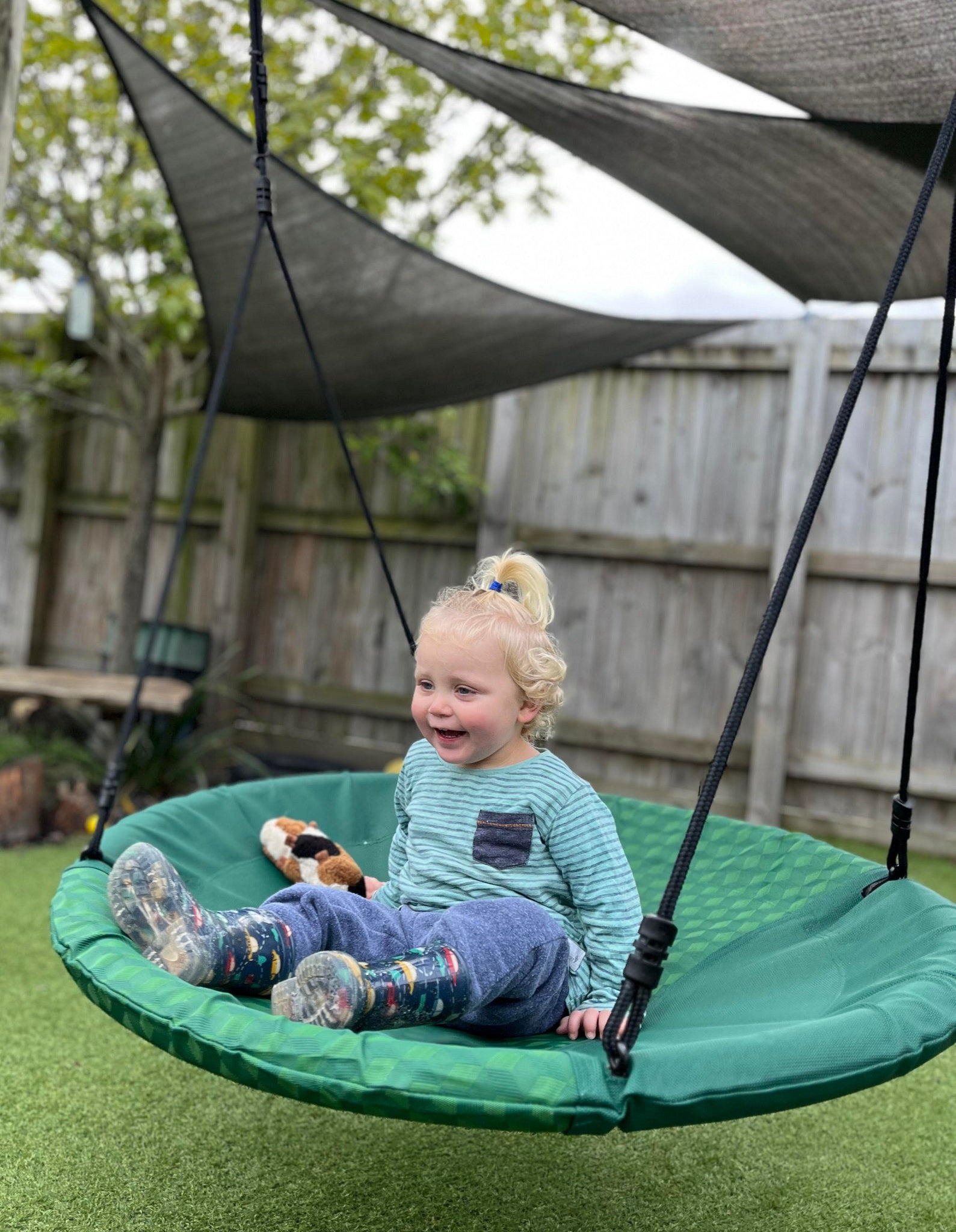 The BEST NEST Swing Swings and Things NZ