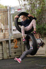Load image into Gallery viewer, Double Vertical Tyre Swing