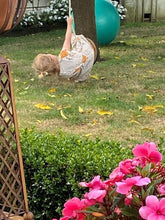 Load image into Gallery viewer, KIds Platter Swing