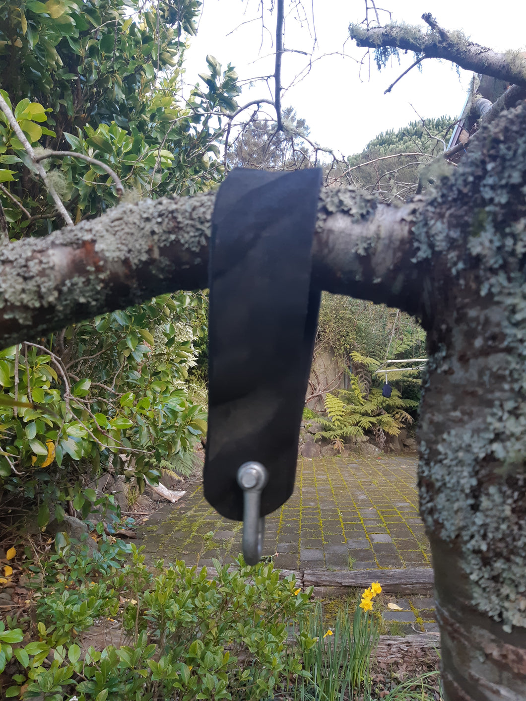 Tree Strap Hanger (small)